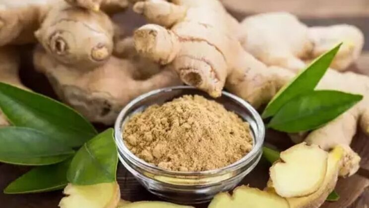 Consumption of ginger will cure your disease by touching it from the root. Learn! 1 Consumption of ginger will cure your disease by touching it from the root.  Learn!