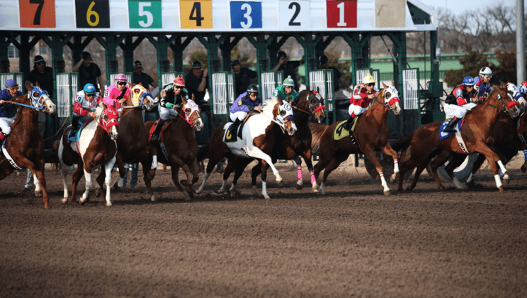 Mahalaxmi Racecourse: India's Equestrian Jewel 4 Mahalaxmi Racecourse: India’s Equestrian Jewel