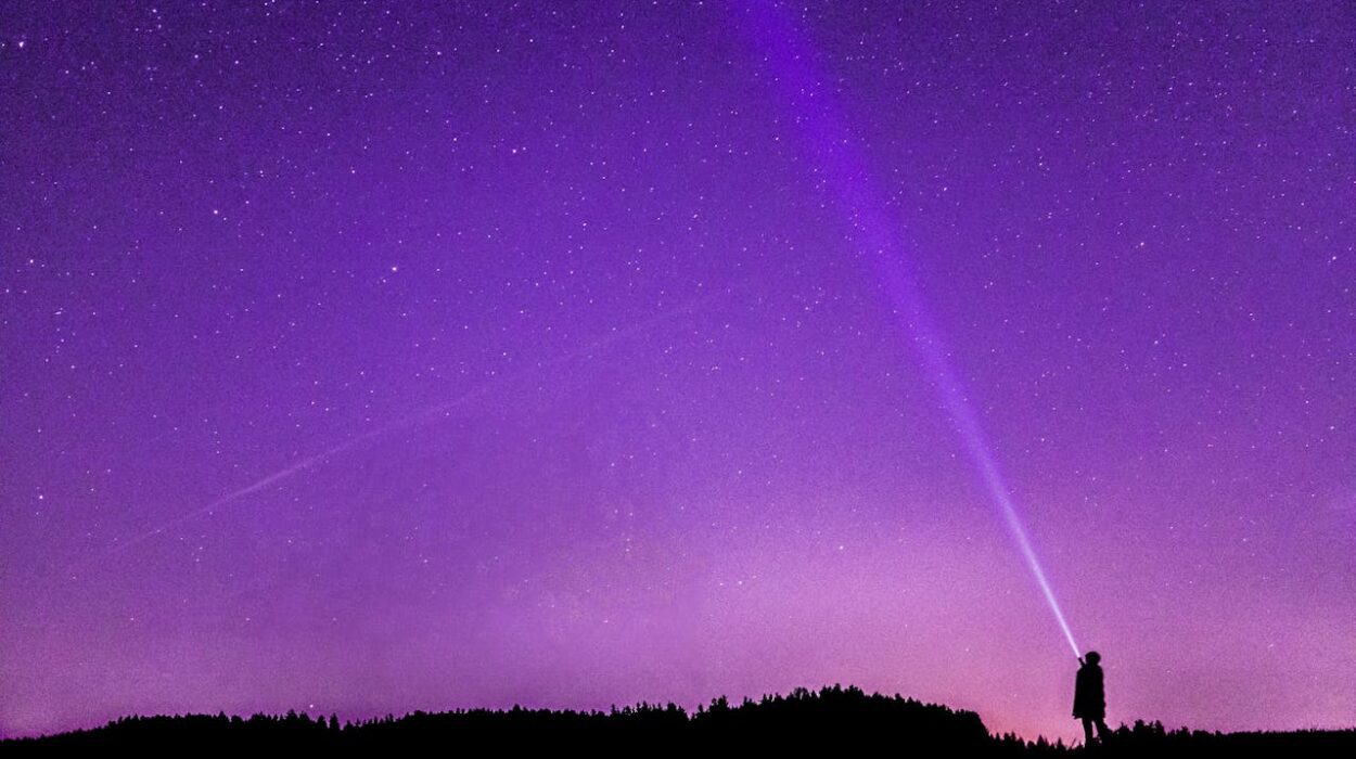 The Ultimate Packing Guide For a Wilderness Exploring Trip 1 Packing Guide