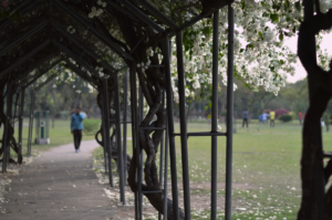 Best Photography in Chandigarh