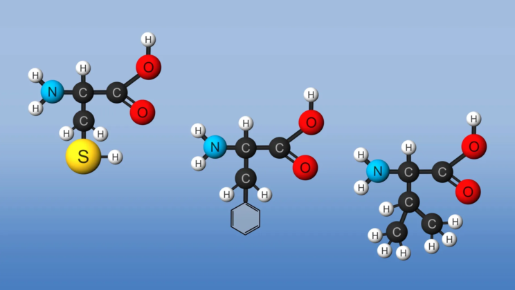 How Incorporating Amino Acid Peptides Enhances Muscle Recovery