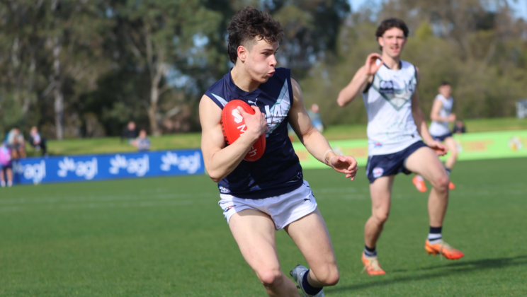 Key AFL Trends Fans Track During the Season